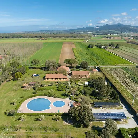 Il Girasole - Fico D'india *