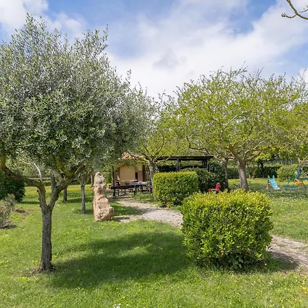 Il Girasole - Fico D'india Séjour à la ferme Venturina Terme